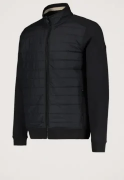 Jassen*Silvercreek Arena Jack