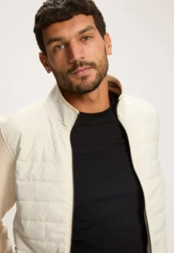 Jassen*Silvercreek Arena Jack