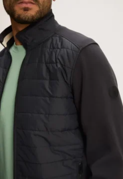 Jassen*Silvercreek Arena Jack