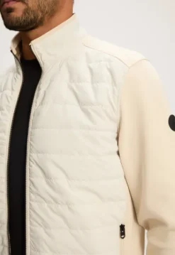 Jassen*Silvercreek Arena Jack