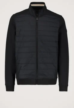 Jassen*Silvercreek Arena Jack