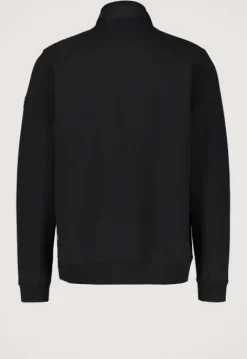 Jassen*Silvercreek Arena Jack