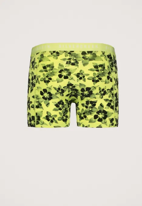 Accessoires | Boxershorts*Silvercreek Boxershort 3 Pack