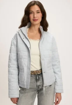 Jassen*Silvercreek Hazel