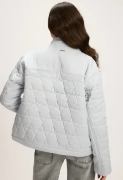 Jassen*Silvercreek Hazel