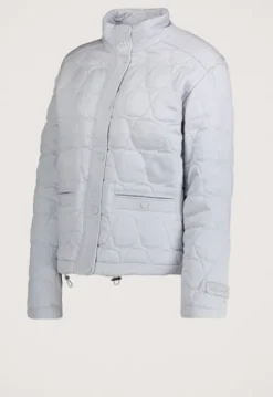 Jassen*Silvercreek Hazel