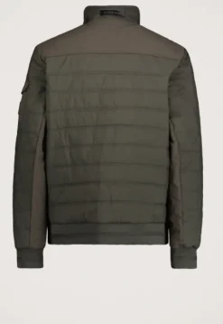 Jassen*Silvercreek Justin Jas