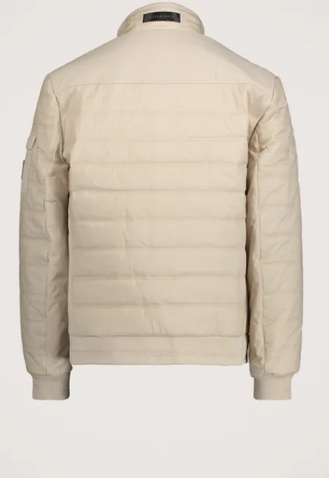 Jassen*Silvercreek Justin Jas