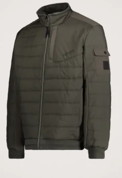 Jassen*Silvercreek Justin Jas