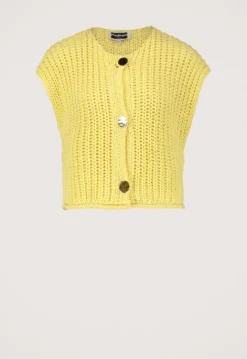 Truien & Vesten*Silvercreek Mentha Vest