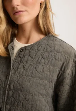 Jassen*Silvercreek Milla Jack