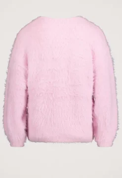 Truien & Vesten*Silvercreek Philis Trui