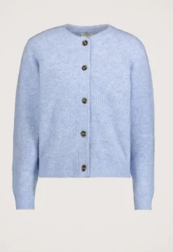 Truien & Vesten*Silvercreek Phine vest