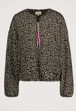 Jassen*Silvercreek Texas