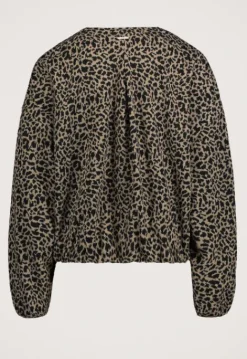 Jassen*Silvercreek Texas