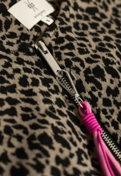 Jassen*Silvercreek Texas