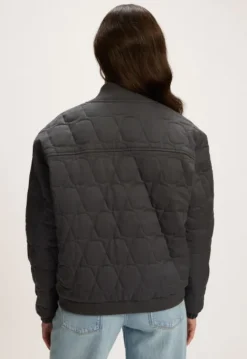 Jassen*Silvercreek Toscha Jack