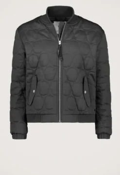 Jassen*Silvercreek Toscha Jack