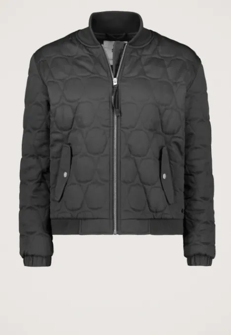 Jassen*Silvercreek Toscha Jack