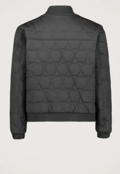 Jassen*Silvercreek Toscha Jack