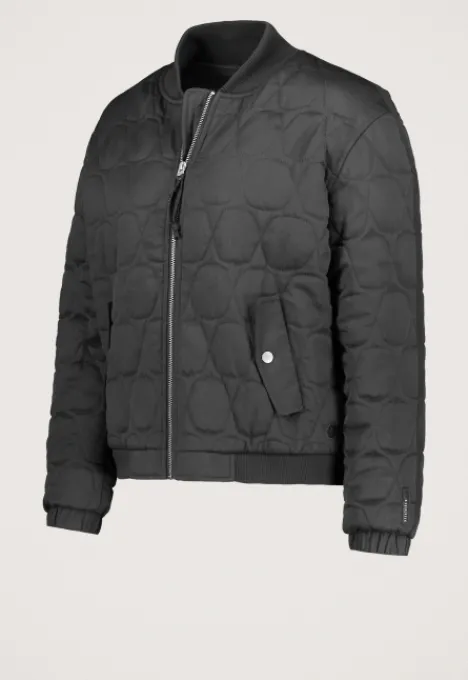 Jassen*Silvercreek Toscha Jack